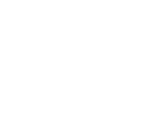 Logo Nefico